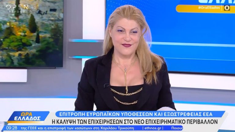 Ειρήνη Τσεσμελή στο OPEN: Οι χαμένες ευκαιρίες της Ελλάδας για τις ΜμΕ