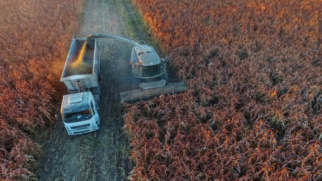 «Παράγουμε στην Ελλάδα»: Νέα δράση επιδότησης για μεταποιητικές ΜμΕ με ενίσχυση έως 55%