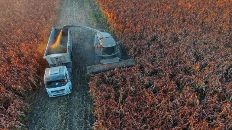 «Παράγουμε στην Ελλάδα»: Νέα δράση επιδότησης για μεταποιητικές ΜμΕ με ενίσχυση έως 55%