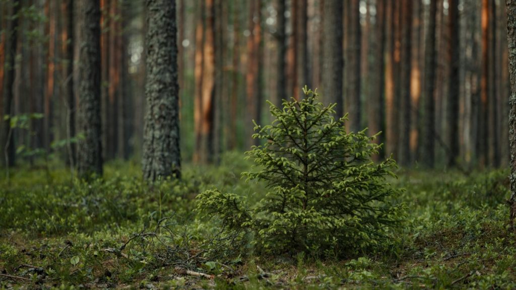 Αναπτυξιακός Νόμος 4887/2022: Άνοιξε το καθεστώς «Μεγάλες Επενδύσεις» – Υποβολές έως 30 Ιουνίου 2026