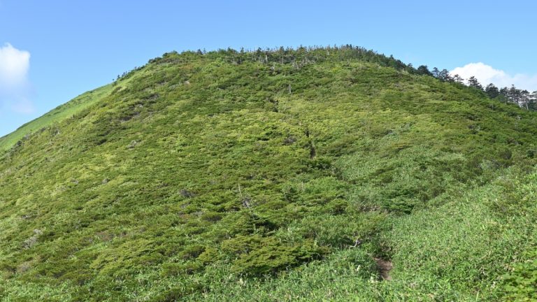 Νέο πλαίσιο ρύθμισης οφειλών 2026